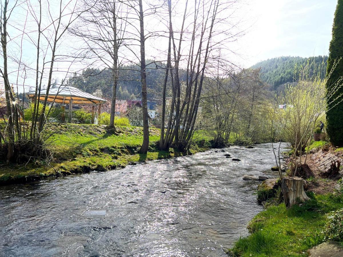 Ferienwohnung Kinzigblick - Balkon - Fuer Kinder - Mit Bettwaesche & Handtuecher Schenkenzell Kültér fotó